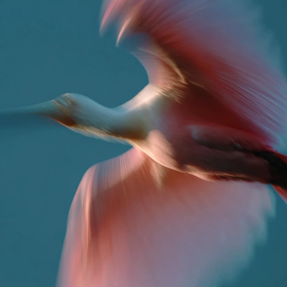 AI-generated creative work by a Promptist community member, piece 5