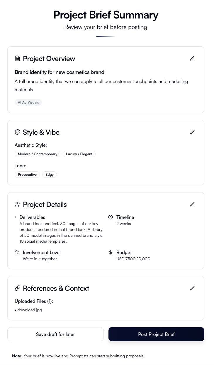 Project brief summary interface showing project overview, style preferences, deliverables, timeline and budget details
